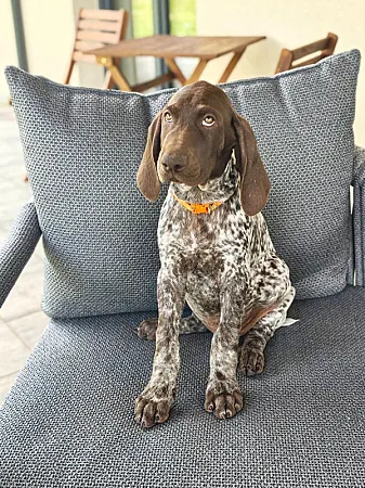 Baron