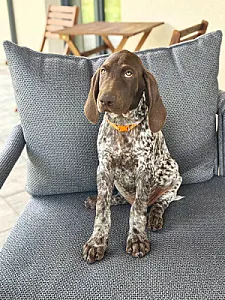 Baron
