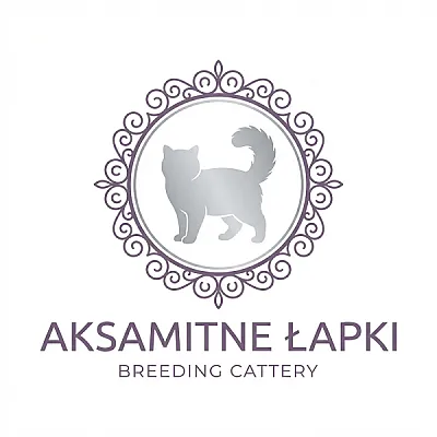 Pokazowa hodowla kotów *PL