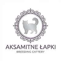 Pokazowa hodowla kotów *PL