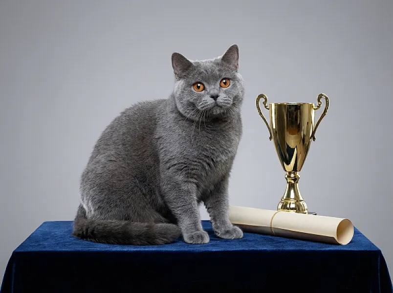 Luna — Best in Show na Międzynarodowej Wystawie w Poznaniu!