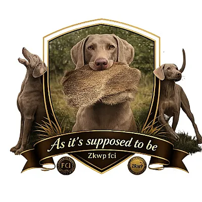 As it’s supposed to be 