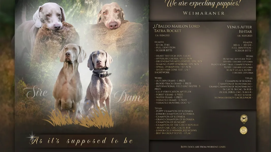 As it’s supposed to be 