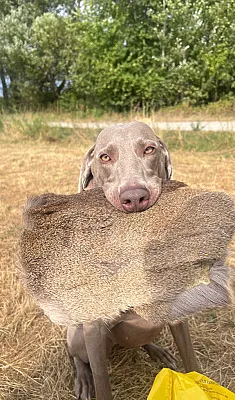 Galeria As it’s supposed to be 