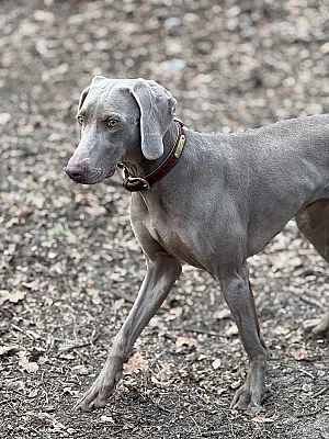 Galeria As it’s supposed to be 