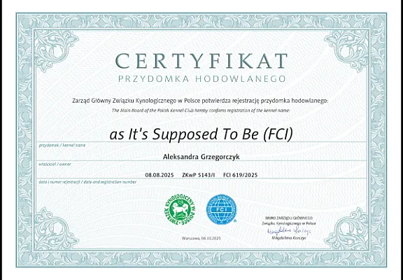 Galeria As it’s supposed to be 