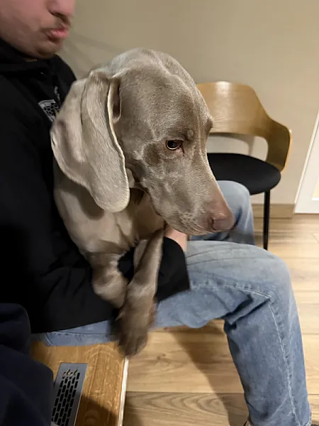 Potwierdzona ciąża!