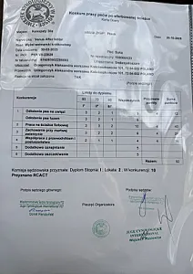 Konkurs psów po sfarbowanej ścieżce 