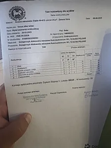 Testy hodowlane dla wyżłów z wodą 