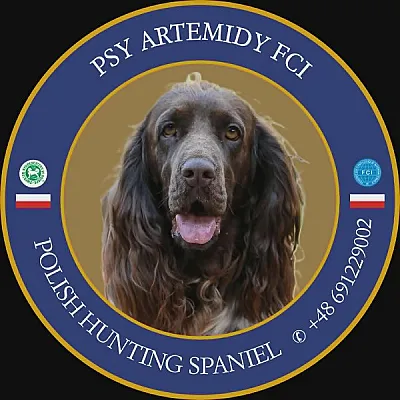 Psy Artemidy (FCI)